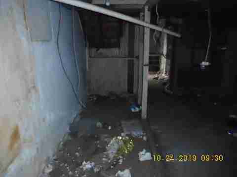 14858 Marlowe (10)_m.jpg